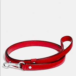 Red pet leash